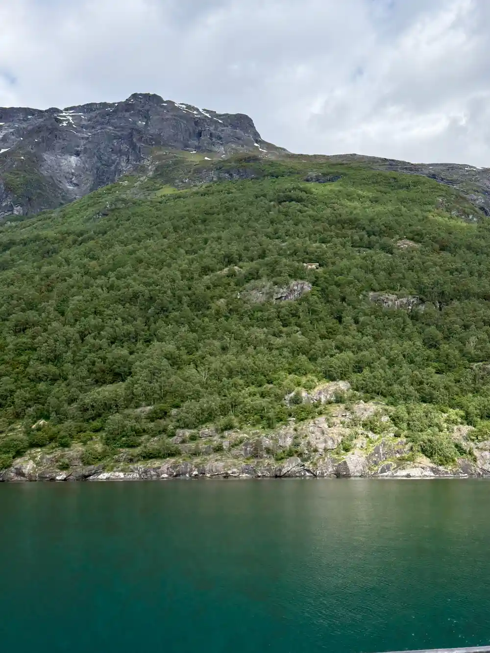 Densely forested mountainside sloping to lake water