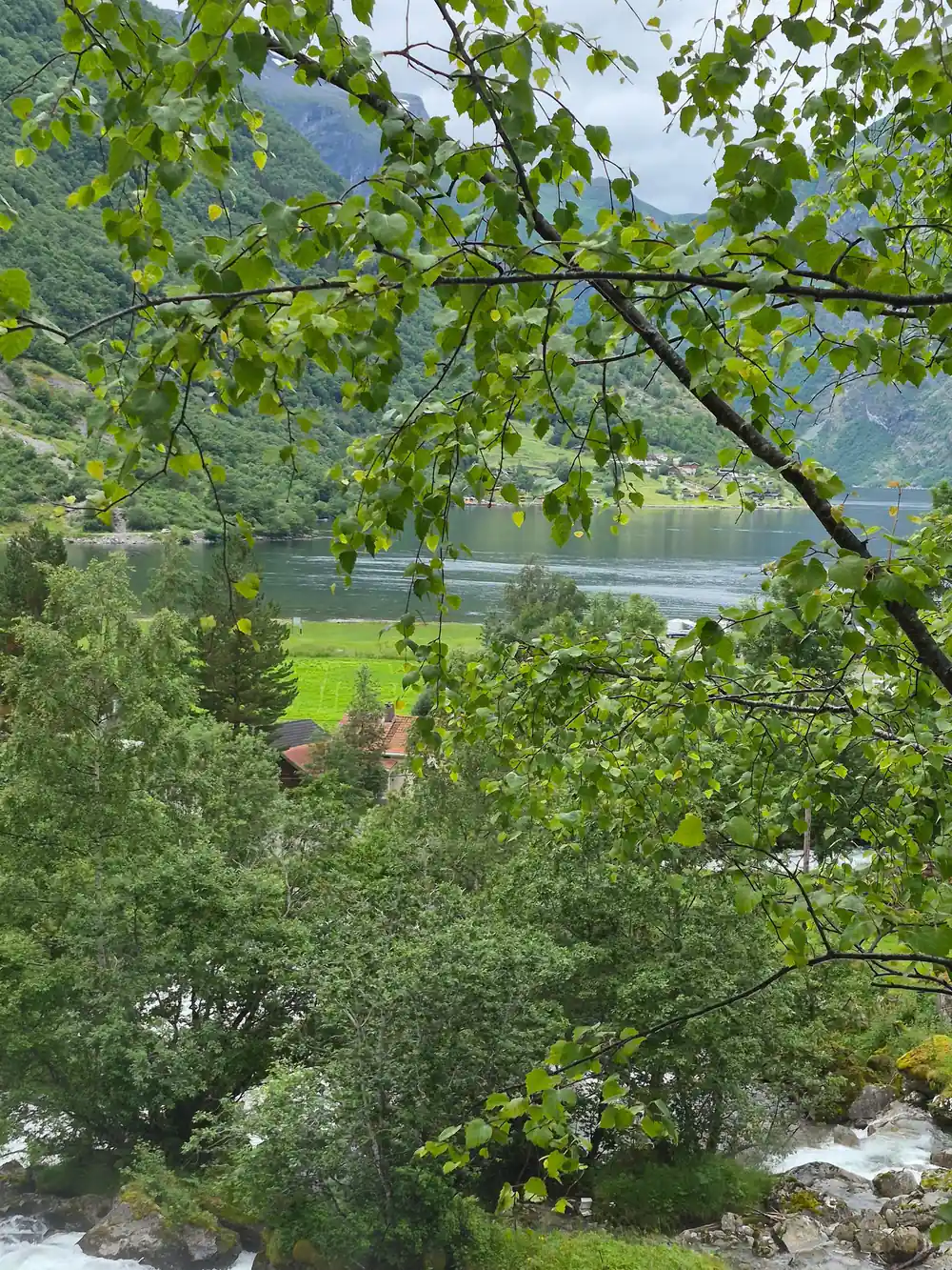 Green valley with river viewed through tree branches