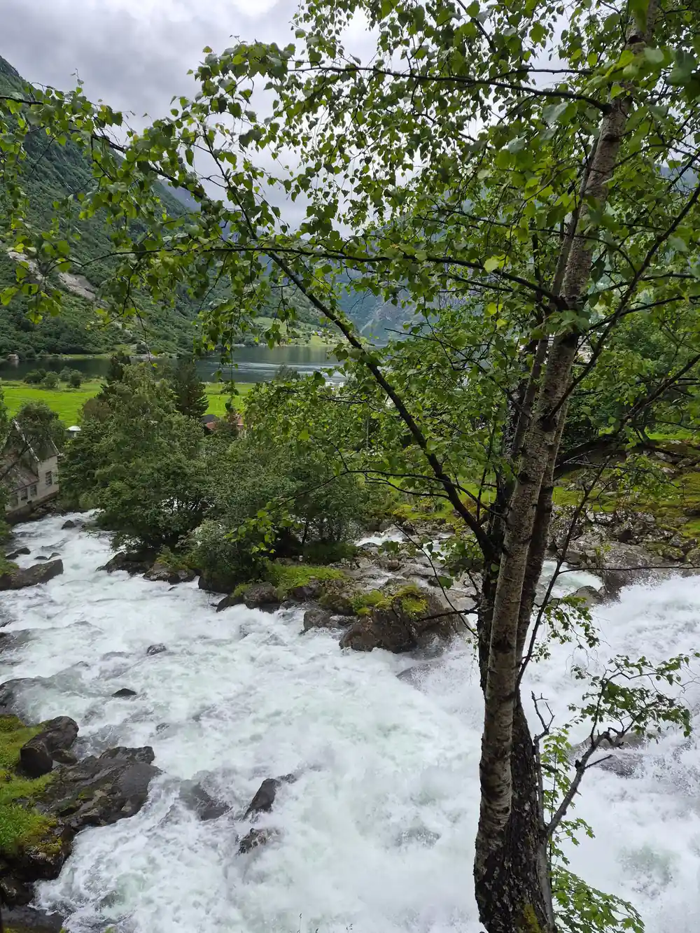 Rushing white water near tree with fjord and mountains behind